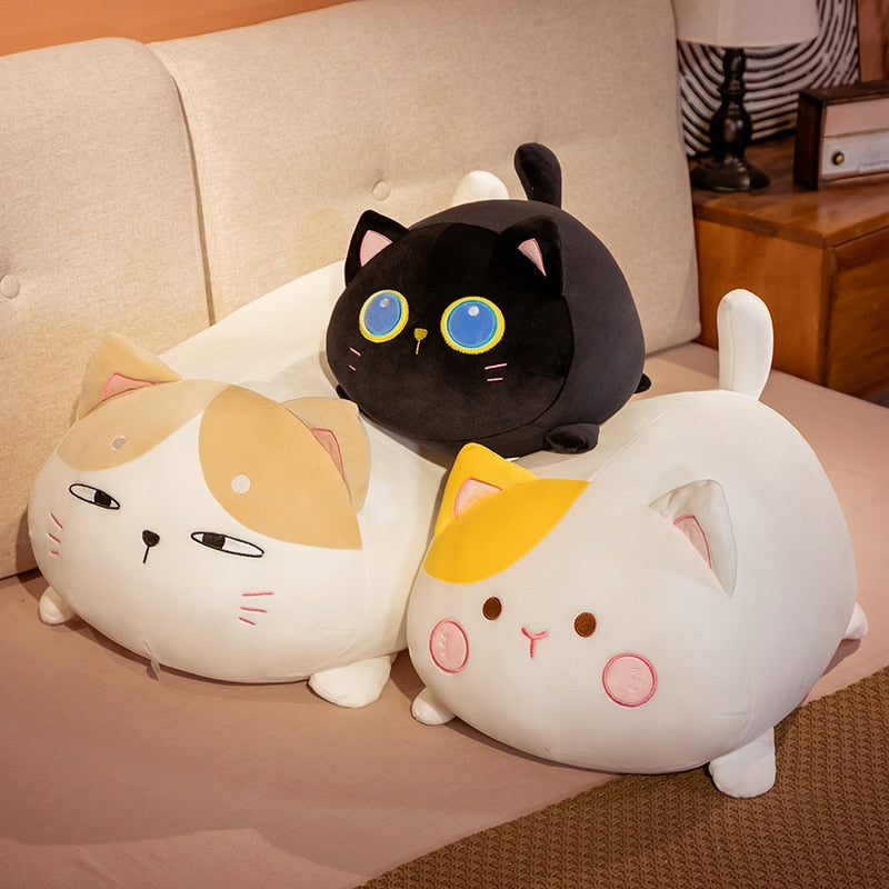 Chonky kitten plush - cats - kawaii - plush - toys - plushies