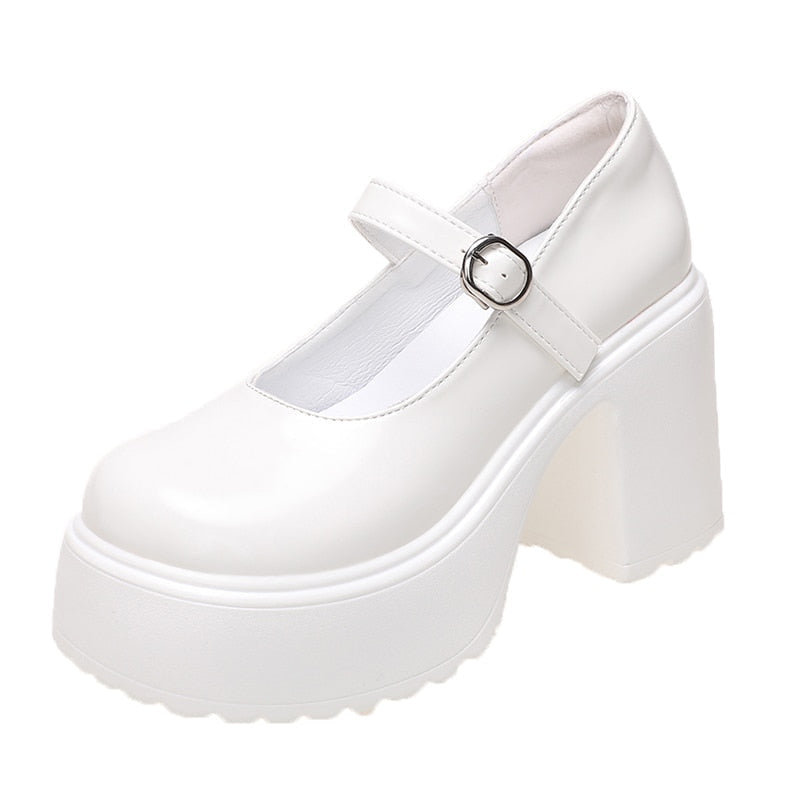 Mary jane shoes chunky heels best sale