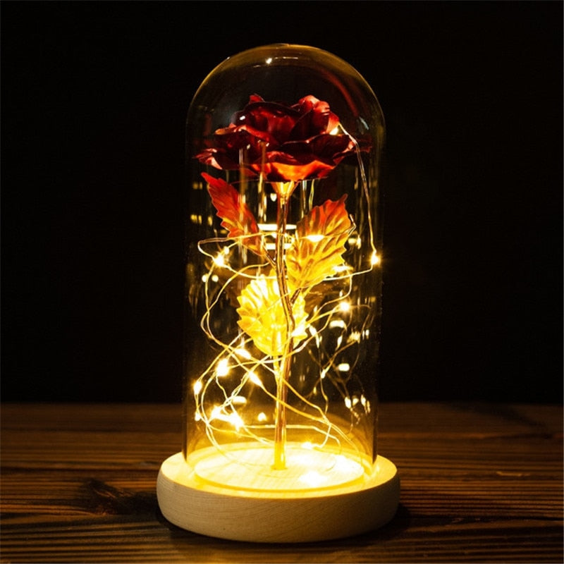 Immortal Rose Light - beauty and the beast, flower, flowers, lamp, lamps Kawaii Babe