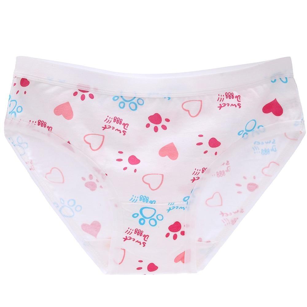 Baby Teddy Mid Rise Cute Sexy Retro Hipster Panties, Xs-xl/custom Sizes Womens  Underwear, Kawaii Plus Size Lingerie Panties Explore Now 