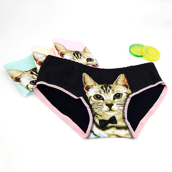 pastel kitten cat face life life realistic full brief underwear lingerie intimates fairy kei candy colored bow collar by kawaii babe