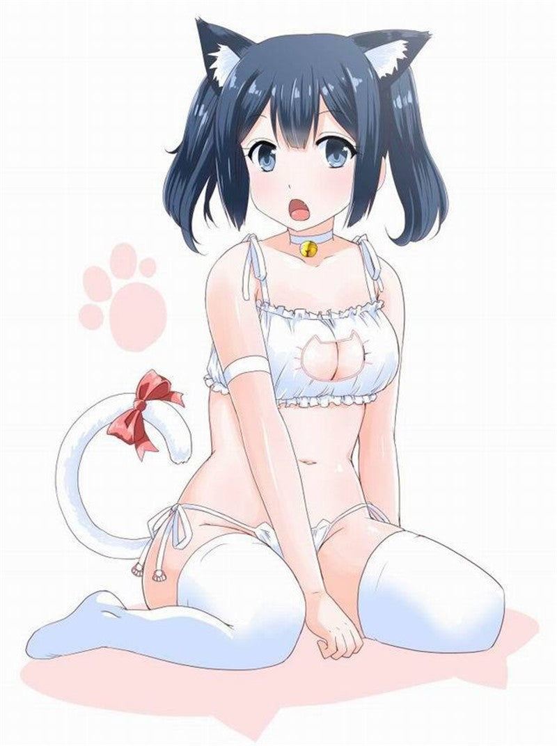 kitty cat neko manga anime girl lingerie bra and panties underwear undies set pet play zoophilia petplay kitten play fun outfit cosplay costume
